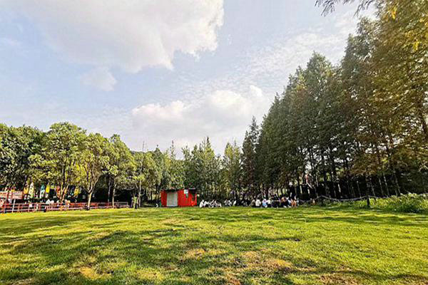 陜西：綠色轉型的“加減乘除”法